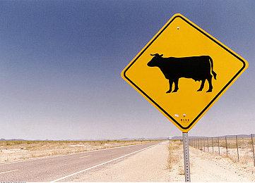 《上古卷轴OL》现已加入简体中文 可加入2100万玩家行列